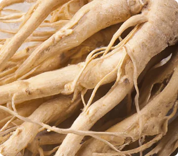 Withania somnifera supplementation